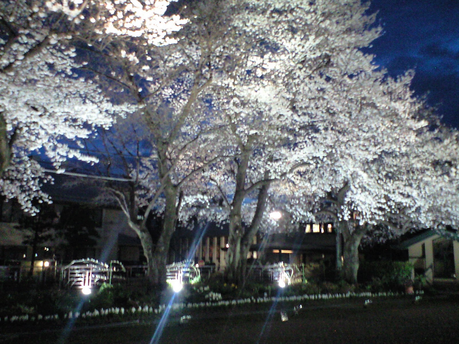 myounichikan_1004_0003.JPG